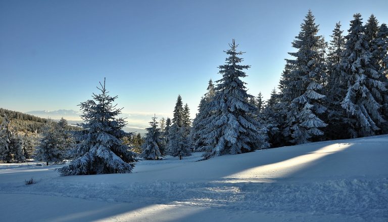 Noclegi zakopane – dla miłośników gór i przygód